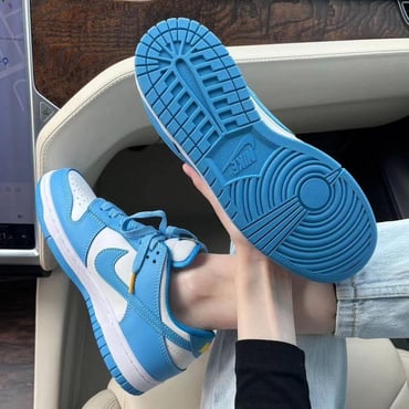 Nk Dunk Mavi